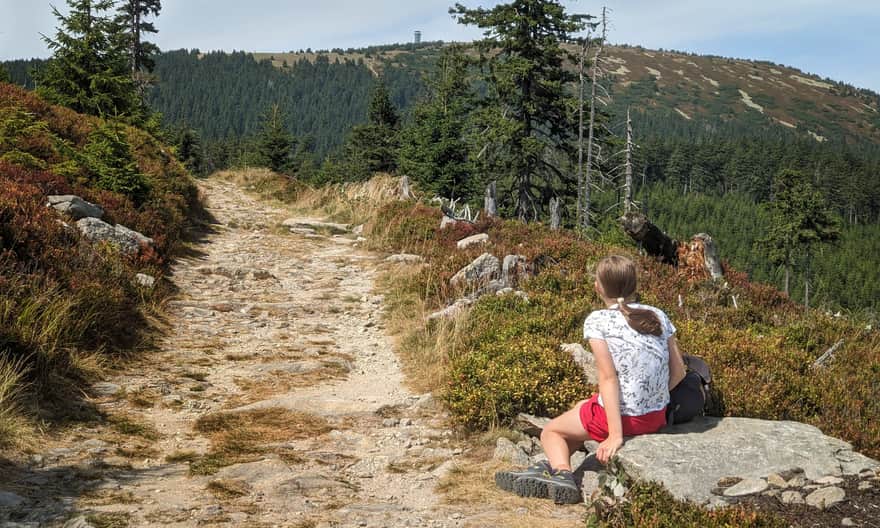 Śnieżnik Kłodzki - najkrótsza i najłatwiejsza trasa z Czech
