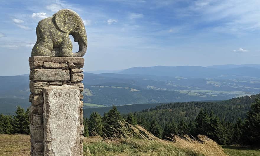 Słonik pod szczytem Śnieżnika Kłodzkiego
