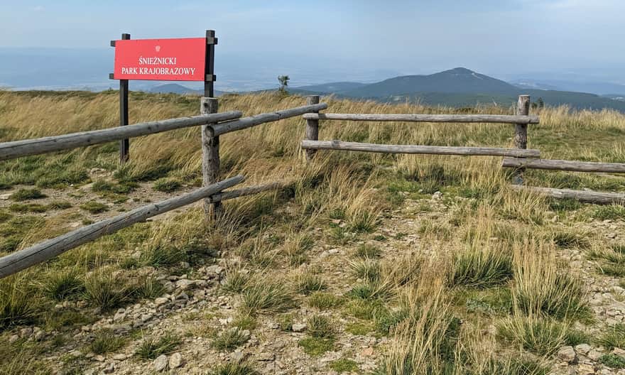 Śnieżnik, 1425 m n.p.m.