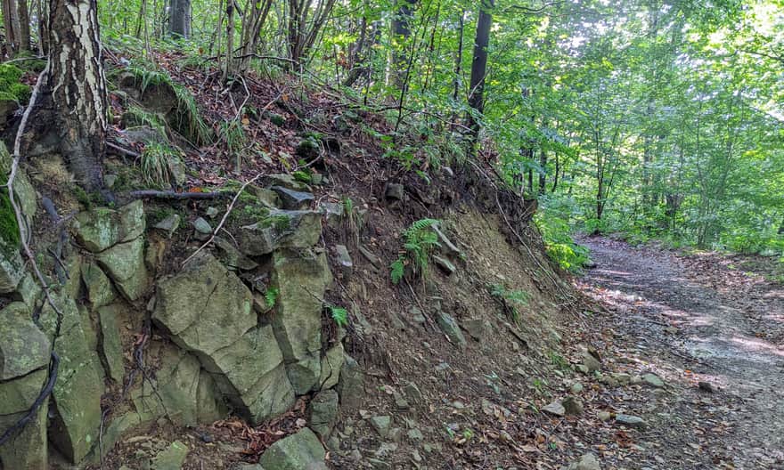 Ścieżka przyrodniczo-historyczna Caryńskie - trawers stromych zboczy Wysokiego Wierchu