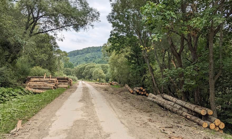 Ścieżka "Bieszczady Odnalezione" - droga w kierunki miejscowości Łuh i Zawój