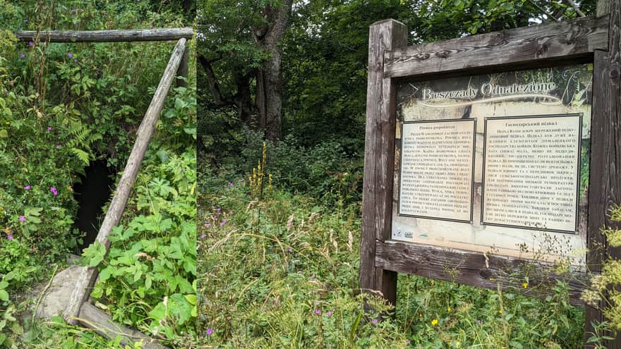 Ścieżka "Bieszczady Odnalezione", Jaworzec: jedna z zachowanych kamiennych piwnic