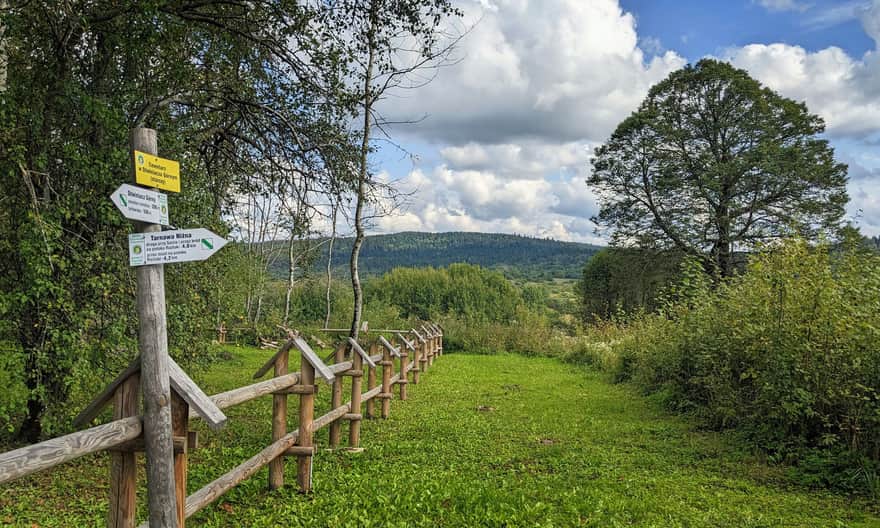 Dźwiniacz Górny - cerkwisko i stary cmentarz