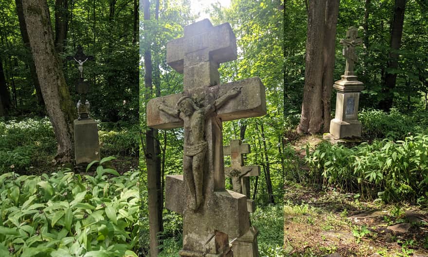 Ścieżka przyrodnicza Kiczera. Kilka zachowanych nagrobków koło w byłej wsi Żydowskie