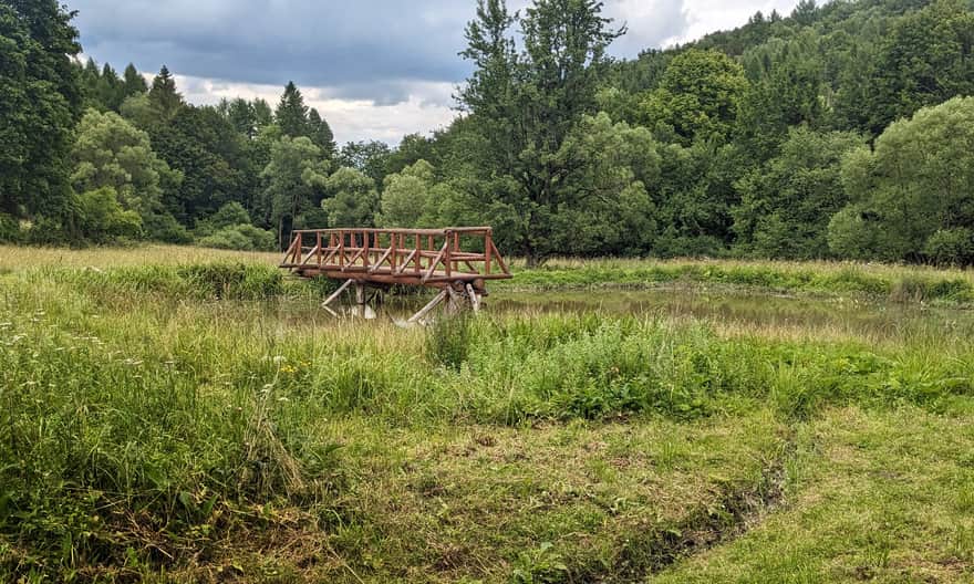 Ścieżka przyrodnicza Kiczera - oczko wodne