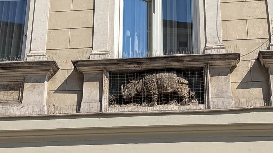 Kamienica "Pod Elefanty", ul. Grodzka 38