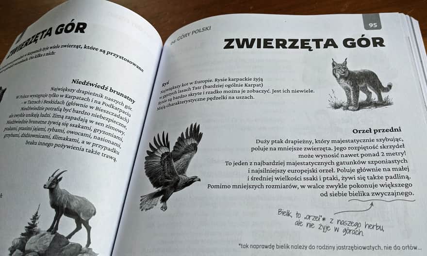 Polska w małym paluszku. Agnieszka Rajczak-Kucińska, twojemapy.com