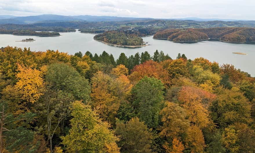 Widok z wieży na górze Jawor w Solinie