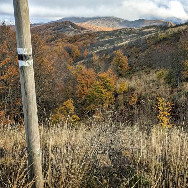 Czarny szlak z Bacówki Jaworzec na Smerek i Połoninę Wetlińską