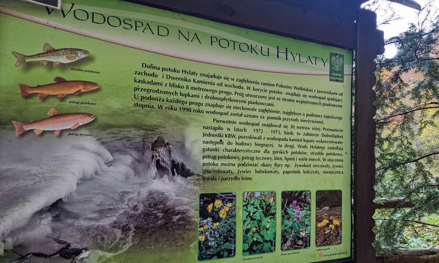 Wodospad Szepit na potoku Hylaty - tablica informacyjna.
