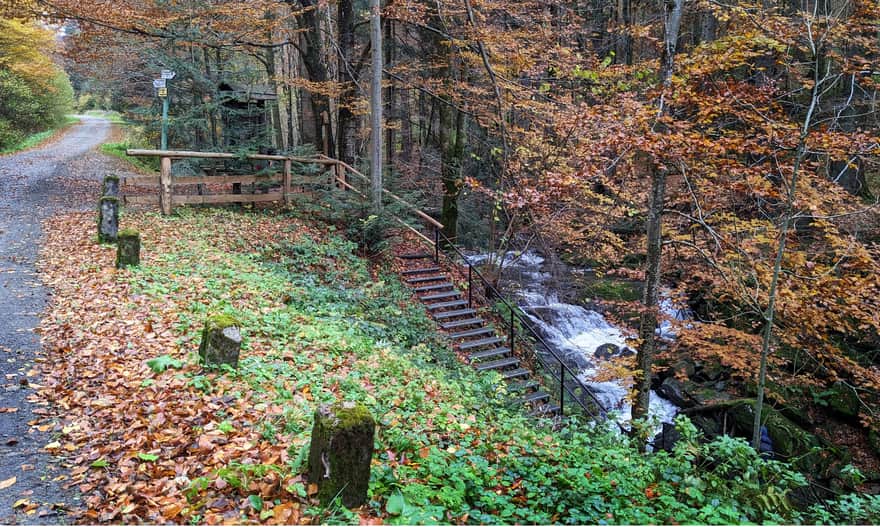 Wodospad Szepit na potoku Hylaty - zejście do wodospadu