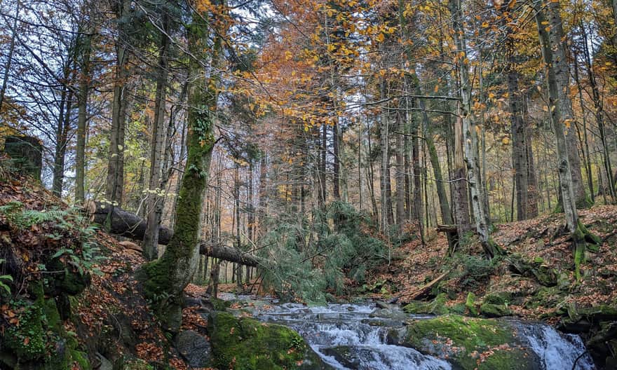 Wodospad Szpepit na potoku Hylaty w Zatwarnicy