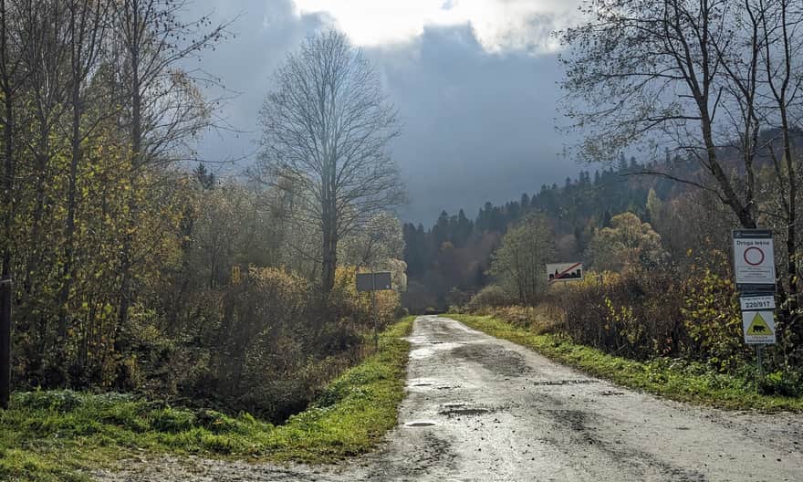 Leśna droga do wodospadu Szepit, Zatwarnica