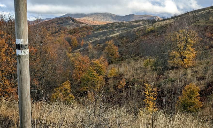 Czarny szlak z Bacówki PTTK Jaworzec na przełęcz Orłowicza - widok na Roh, Osadzki Wierch i Hnatowe Berdo
