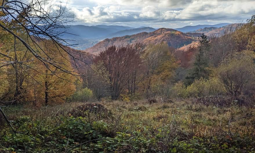 Czarny szlak z Jaworca.  Widok z Wysokiego Berda na zachód