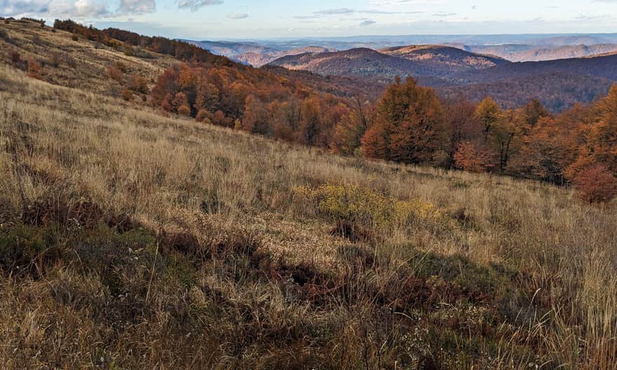 Czarny szlak z Jaworca. Widok z północnych stoków Smereka