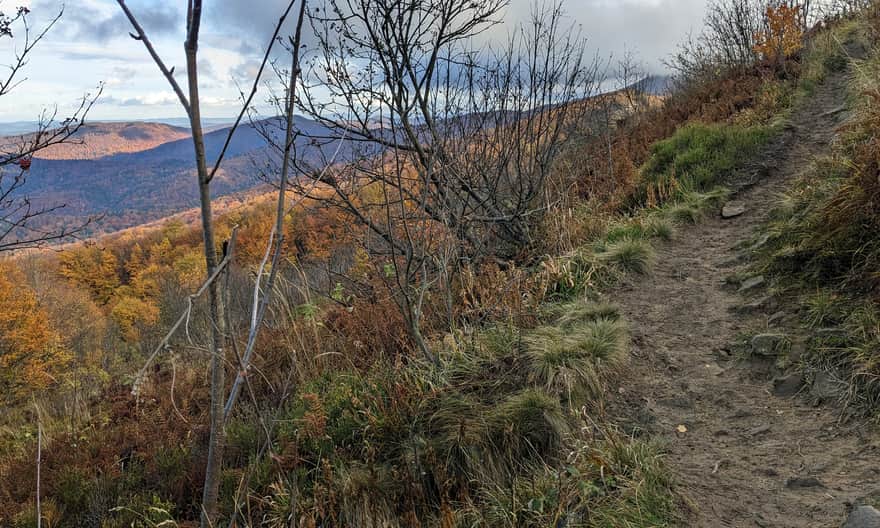 Czarny szlak z Jaworca. Podejście na przełęcz Orłowicza - wąska, dzika ścieżka (bez schodów!)