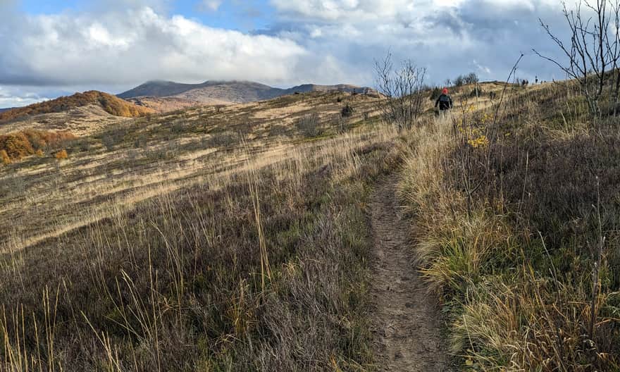 Czarny szlak z Jaworca. Podejście na przełęcz Orłowicza i widok na Roh, Osadzki Wierch i Hnatowe Berdo