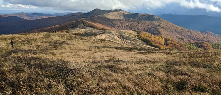 Przełęcz Orłowicza ze stoków Smereka. Widok na Roh i Osadzki Wierch - najwyższe szczyty Połoniny Wetlińskiej