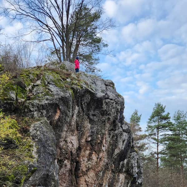 Rezerwat Zelejowa Góra w Chęcinach - mało znana perełka Gór Świętokrzyskich 