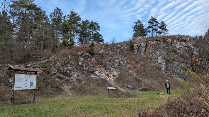Rezerwat Zelejowa Góra w Chęcinach niedaleko Kielc