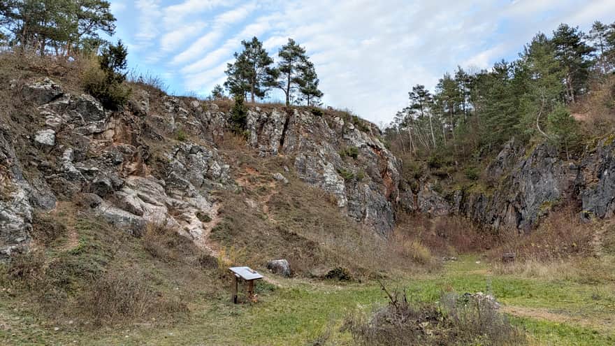 Rezerwat Zelejowa Góra w Chęcinach niedaleko Kielc