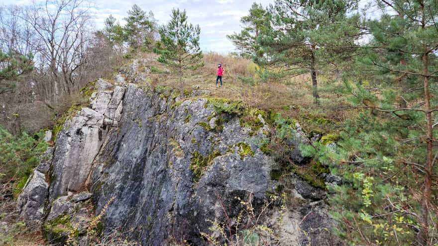 Rezerwat Zelejowa Góra w Chęcinach niedaleko Kielc