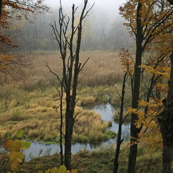 Źródliska Jasiołki - rezerwat i ścieżka historyczno-przyrodnicza