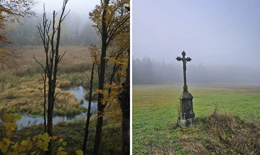Rezerwat Źródliska Jasiołki, fot. Anna Pacyga