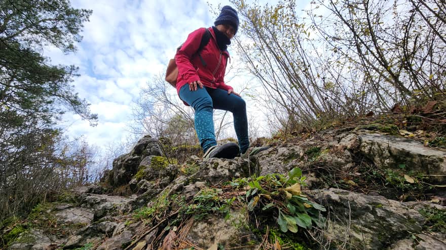 Rezerwat Zelejowa Góra w Chęcinach niedaleko Kielc