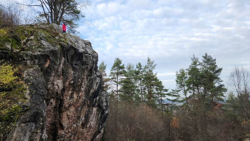Rezerwat Zelejowa Góra w Chęcinach niedaleko Kielc