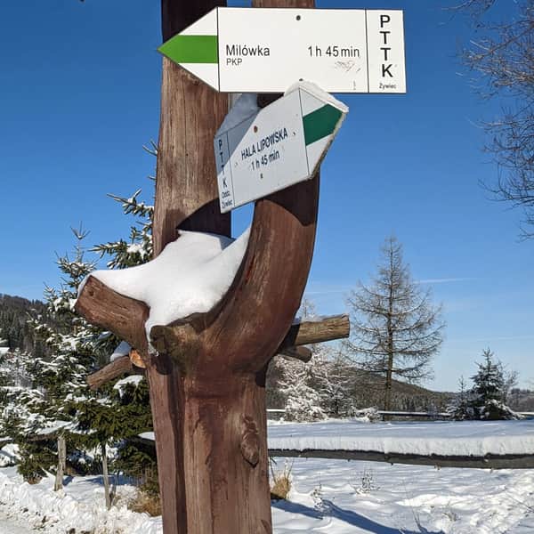 Zielony szlak z Milówki na Halę Boraczą