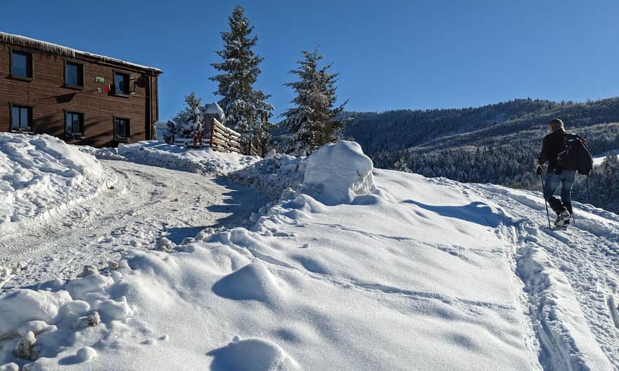 Hala Boracza, Żabnica w Beskidzie Żywieckim, 854 m n.p.m.