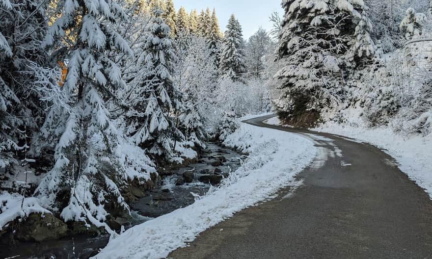 Zielony szlak z Milówki na Halę Boraczą