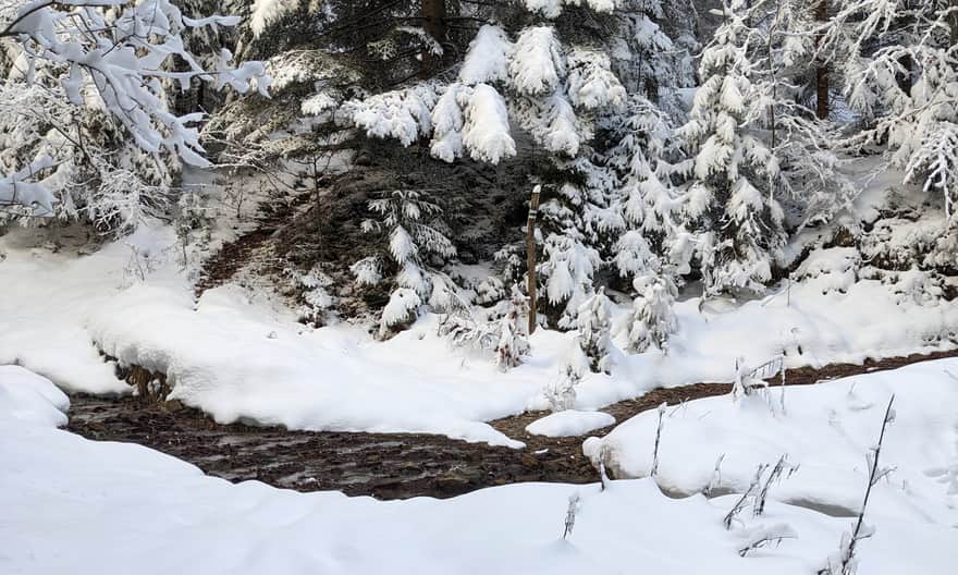 Zielony szlak z Milówki na Halę Boraczą - drugi strumyk do przekroczenia