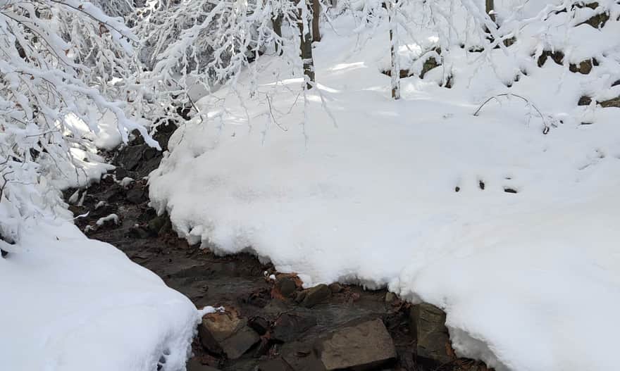 Zielony szlak z Milówki na Halę Boraczą - pierwszy strumyk do przekroczenia