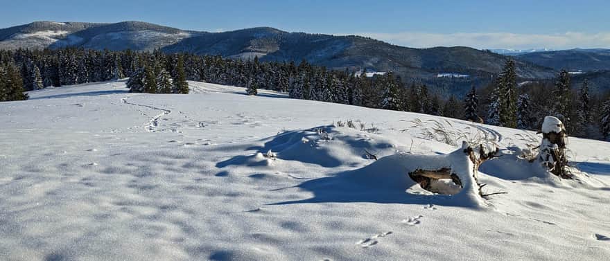 Prusów 1010 m n.p.m. Po prawej widoczne ośnieżone Niżne Tatry