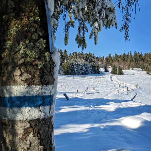Z Hali Boraczej na Prusów i punkt widokowy