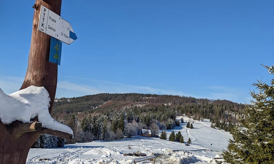 Na Prusów z Hali Boraczej