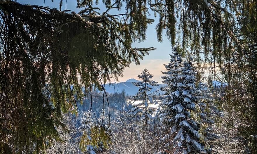 Niebieski szlak z Hali Boraczej na Prusów - "okienko" na Wielki Rozsutec