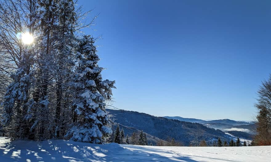 Niebieski szlak z Hali Boraczej na Prusów - widok na Worek Raczański
