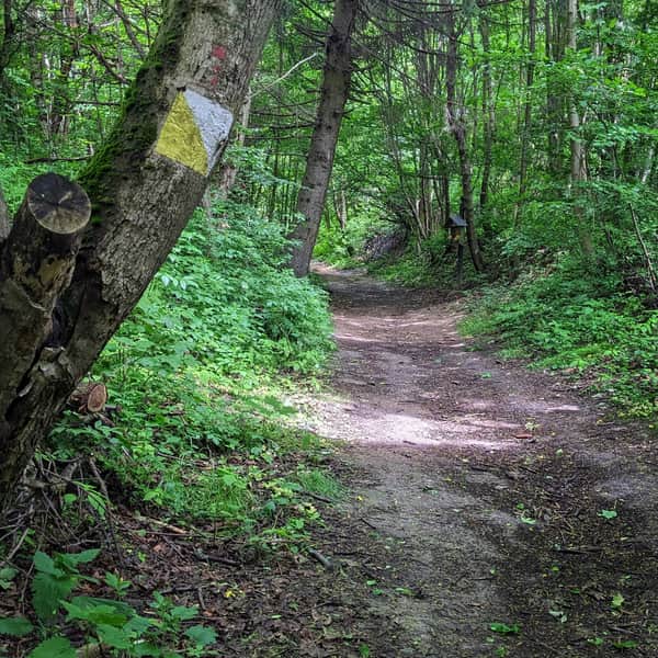 Drewniana Droga - ze Skały do Ojcowa