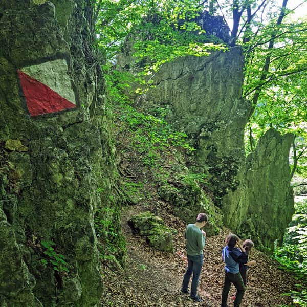 Ze Smardzowic do Doliny Prądnika i Ojcowa