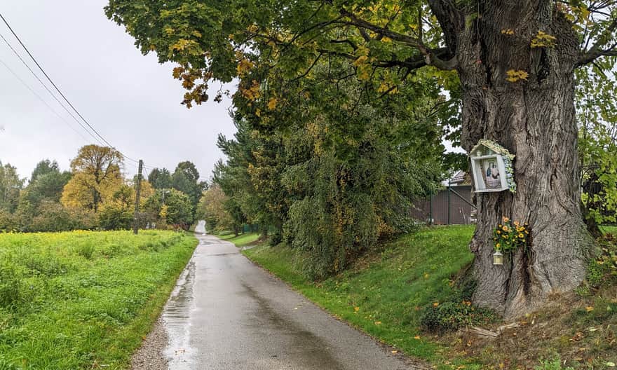 Ze Smardzowic do centrum Ojcowa - ul. Zamkowa