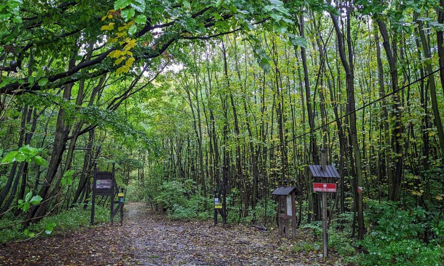Ze Smardzowic do centrum Ojcowa - granica Ojcowskiego Parku Narodowego
