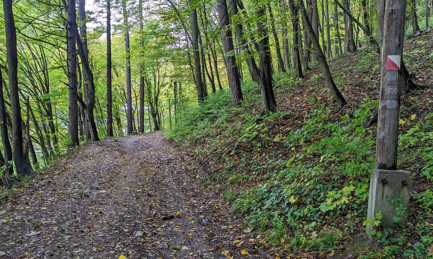 Ze Smardzowic do centrum Ojcowa - zejście do drogi asfaltowej