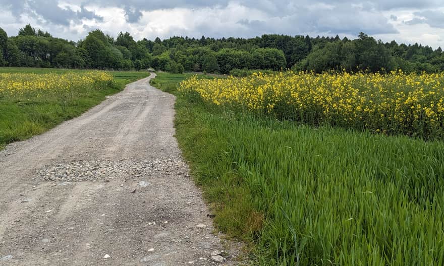 Drewniana Droga: Skała - Ojców