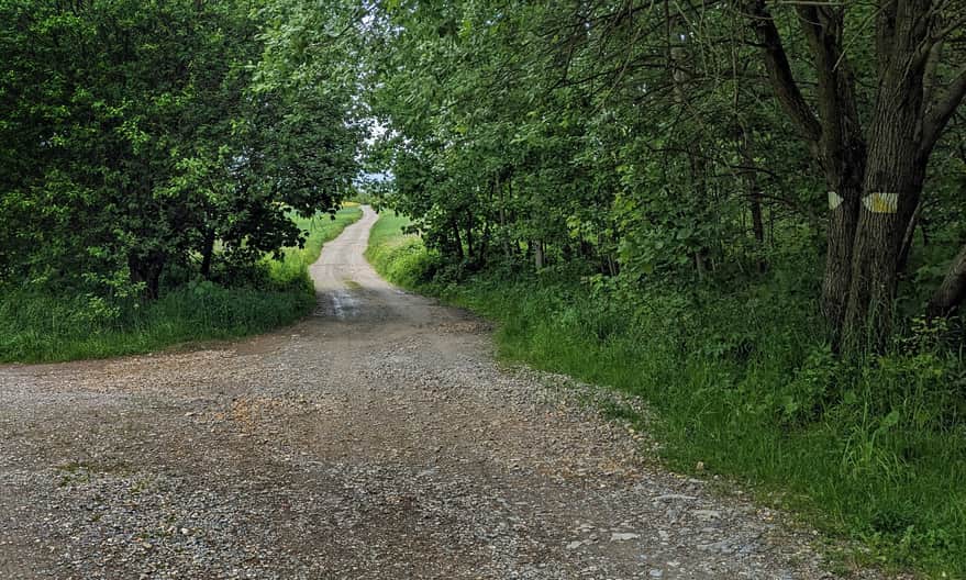 Drewniana Droga: Skała - Ojców