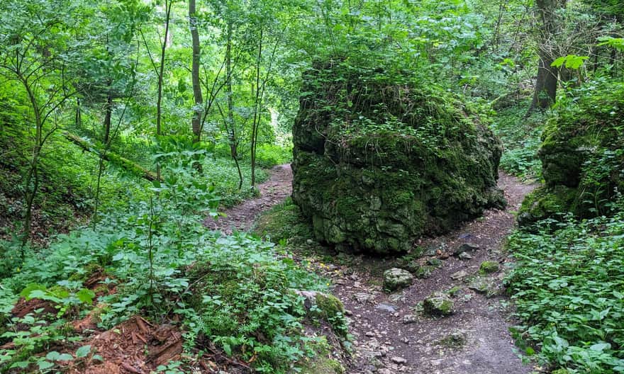 Drewniana Droga: Skała - Ojców