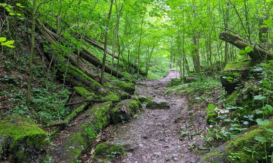 Drewniana Droga: Skała - Ojców